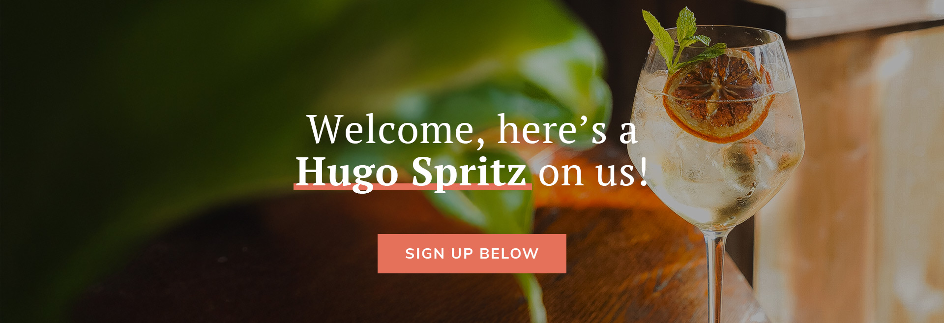 Sign up to the newsletter at The Royal Standard